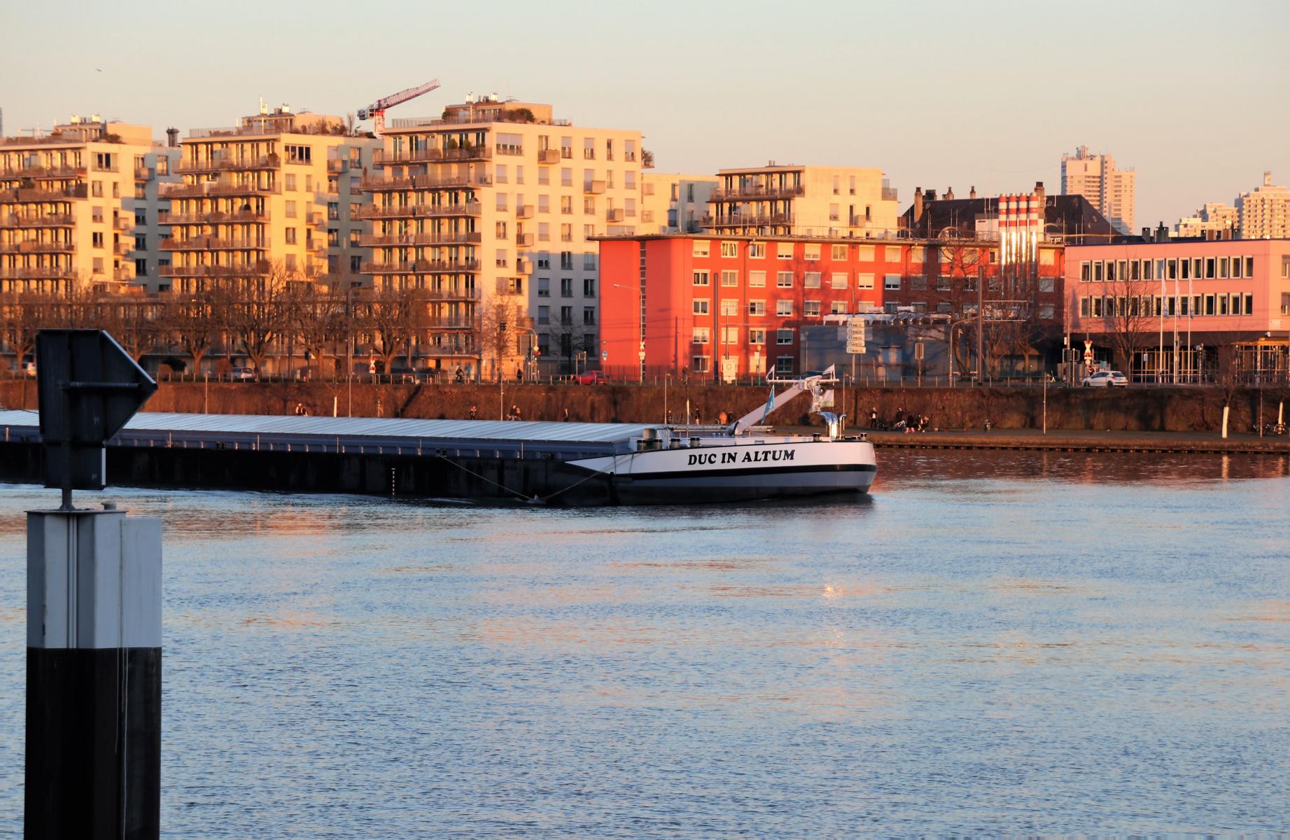  Blick vom Westhafen auf die Sachsenhaeuser Seite. < >