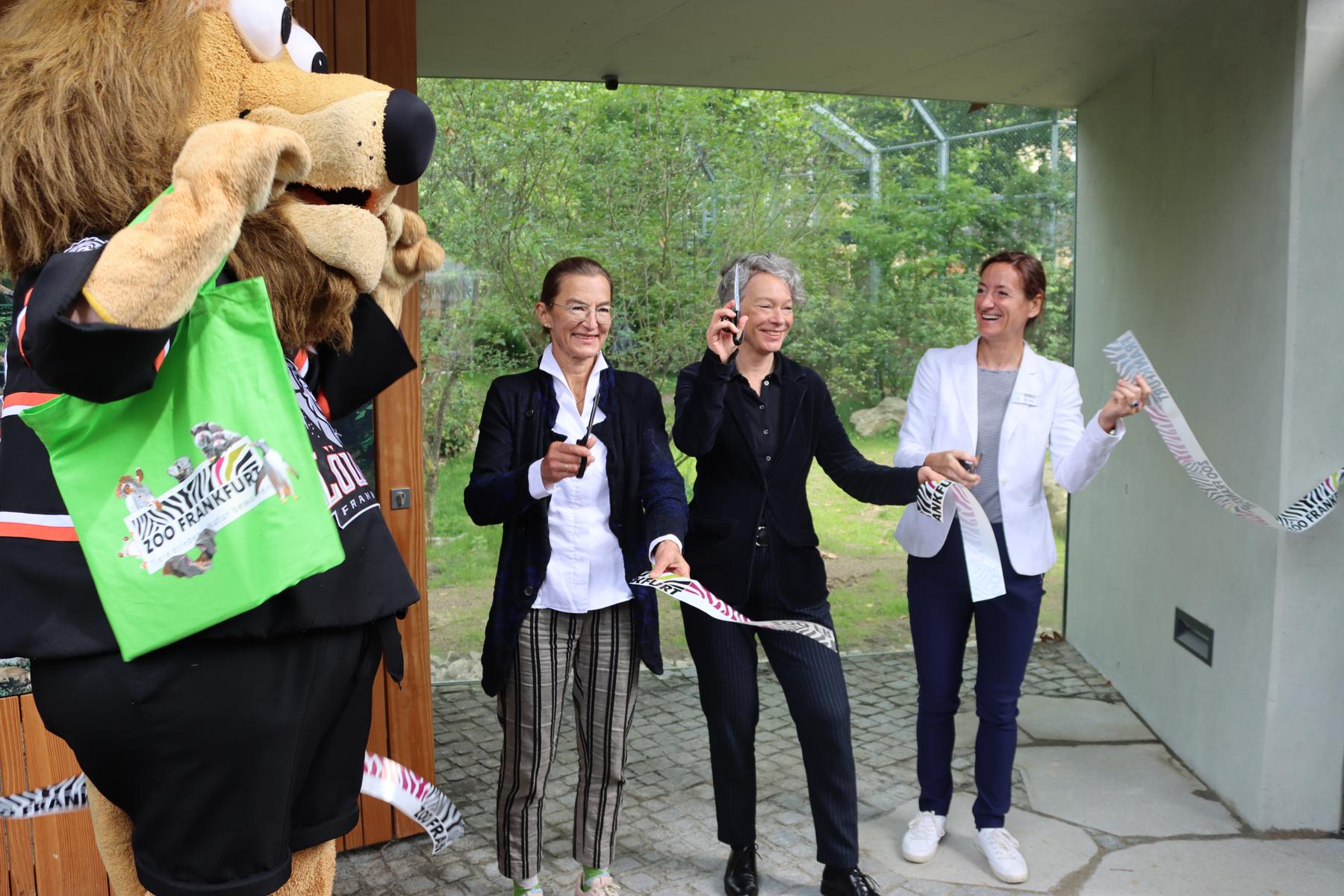  Eroeffnung der neuen Aussenanlage fuer die Loewen.   FOTOS:< > 2024-07-02 Eroeffnung Außengehege der Loewen.  < >  